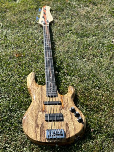 Thornback-4